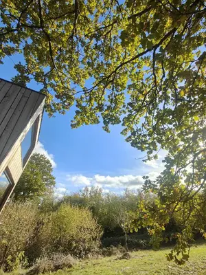 Jardin de l'établissement MOOSE home Tiny House Les Chaumes