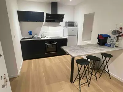 Cuisine ou kitchenette dans l'établissement Appartement T2 à centre ville