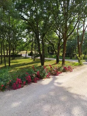 Jardin de l'établissement Chambre d'hôte La Blénie