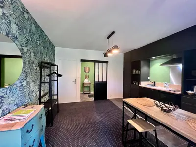 Cuisine ou kitchenette dans l'établissement Demeure de Flore - Hôtel Particulier au Cœur de Brive comprenant 8 appartements de charme