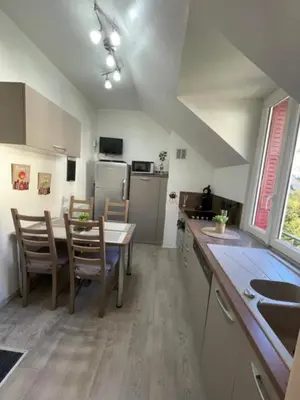 Cuisine ou kitchenette dans l'établissement Appartement chaleureux et cosy