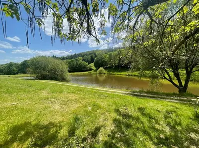 Paysage naturel près de le chalet