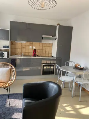 Cuisine ou kitchenette dans l'établissement Confortable et agréable T1 n•1