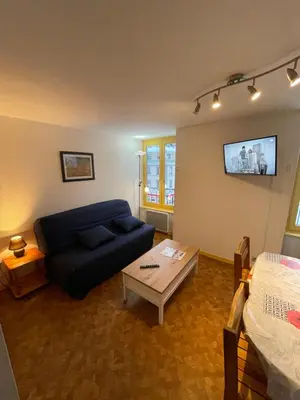 Télévision ou salle de divertissement dans l'établissement Les Thermes 25 Le Mont Dore