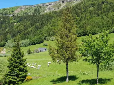 Paysage naturel près de l'appartement