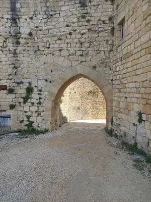 Plan de l'établissement La maison du Moulin près Lascaux