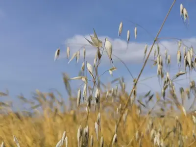 Plan de l'établissement Sol de la Dime