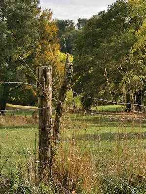 Paysage naturel près de la maison d'hôtes