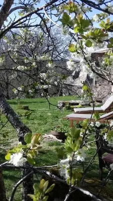 Jardin de l'établissement Gîte L'Oustalou