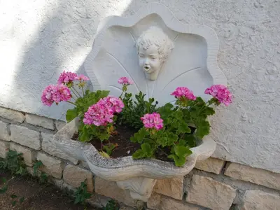 Jardin de l'établissement Gite-le-7