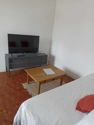 Télévision ou salle de divertissement dans l'établissement Appartement Auzances