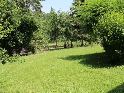Jardin de l'établissement Maison périgourdine familiale proche sites préhistoriques - FR-1-616-291