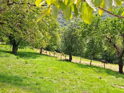 Jardin de l'établissement Maison Landes - Gite 4 personnes