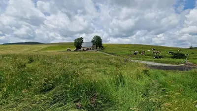 Paysage naturel près de la maison de vacances
