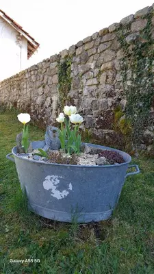 Jardin de l'établissement Maison la Taissotine