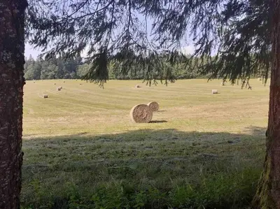 Plan de l'établissement Le hameau de Donnedevie