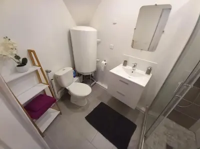 Salle de bains dans l'établissement le cottage Arédien 1