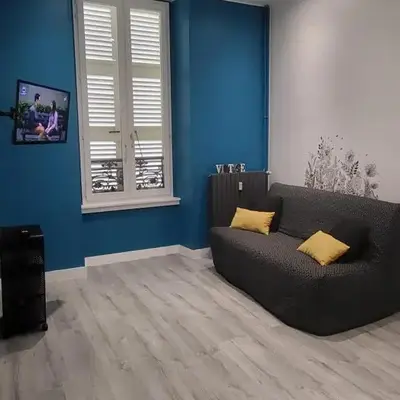 Grand studio refait à neuf centre-ville