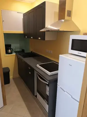 Cuisine ou kitchenette dans l'établissement Studio Ventadour
