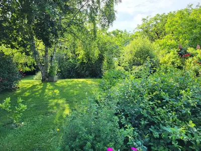 Jardin de l'établissement Les Causeries du Monde