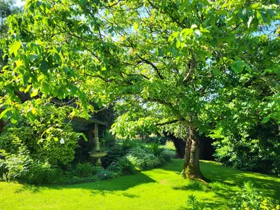 Jardin de l'établissement Les Causeries du Monde