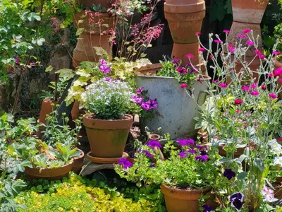 Jardin de l'établissement Les Causeries du Monde