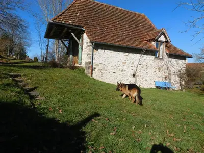 Animal ou animaux domestique(s) séjournant avec des clients dans l'établissement Gite de France Rosalie