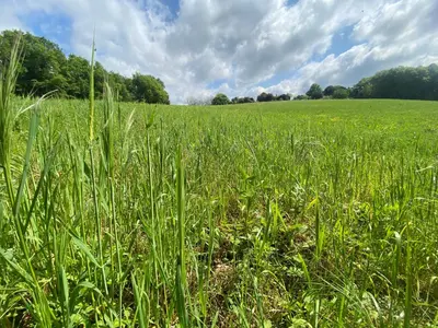 Paysage naturel près de l'appartement