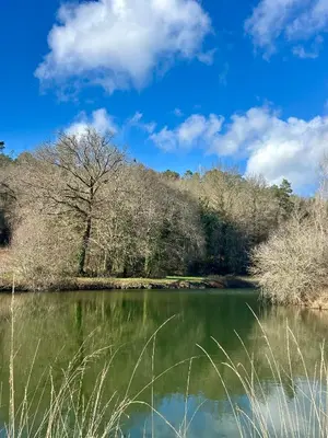 Paysage naturel près de l'appartement