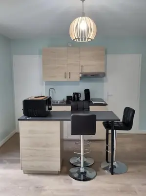 Cuisine ou kitchenette dans l'établissement appartement refait à neuf pour 3 personnes avec wi-fi