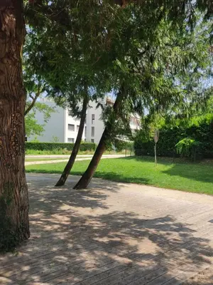 Jardin de l'établissement studio du parc piscine