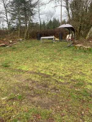 Jardin de l'établissement Maison indépendante à proximité des lacs