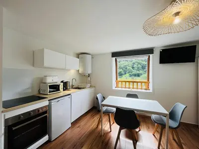 Cuisine ou kitchenette dans l'établissement Charmant studio avec parking, vue montagne, proche centre Mont-Dore - FR-1-608-251