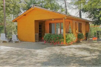 Jardin de l'établissement Gite les Pins - lesgitesdeshautsdevialot en perigord