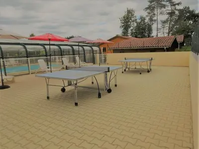 Piscine de l'établissement Gite les Pins - lesgitesdeshautsdevialot en perigord ou située à proximité