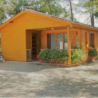Gite les Pins - lesgitesdeshautsdevialot en perigord