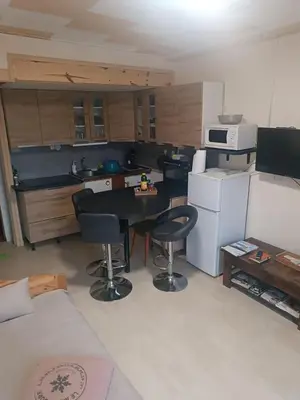 Cuisine ou kitchenette dans l'établissement le Mont dore Centre ville appartement