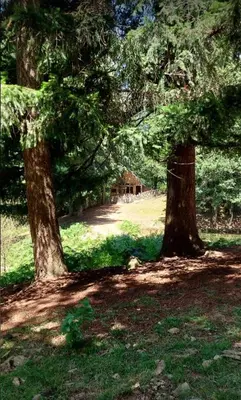 Jardin de l'établissement Cabane Salamandre