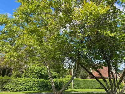 Jardin de l'établissement Les Maisons d'Antan 5 étoiles