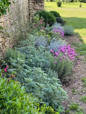Jardin de l'établissement Les Maisons d'Antan 5 étoiles