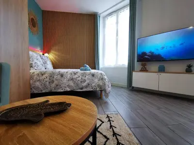 Télévision ou salle de divertissement dans l'établissement EL NIDO by LimogesBNB
