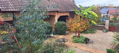 Jardin de l'établissement Chez Sylvie