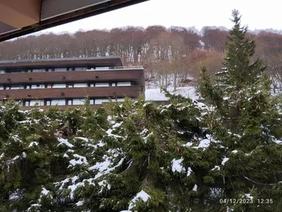 L'établissement Proches des pistes F2 36m2 4-6 pers 2 étoiles en hiver