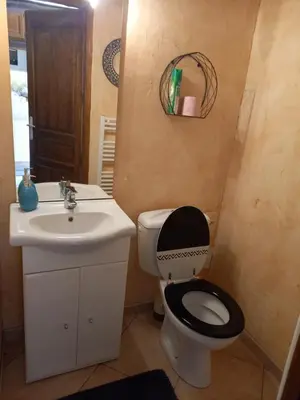 Salle de bains dans l'établissement Les Rosiers 4-6 personnes 11km de Sarlat Périgord Noir