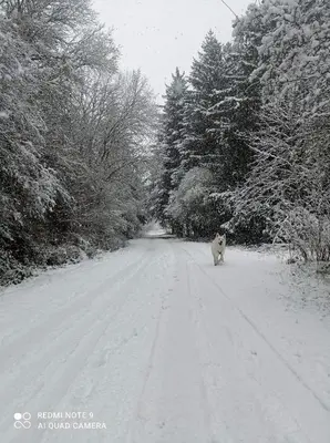 L'établissement Chalet des fontaines claires en hiver