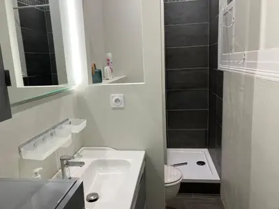 Salle de bains dans l'établissement Très beau meublé lumineux