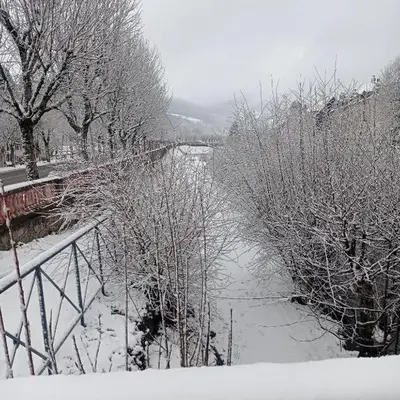 Très beau meublé lumineux