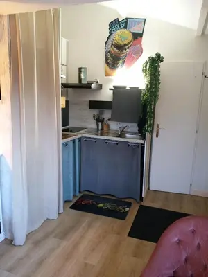 Cuisine ou kitchenette dans l'établissement les tuilieres