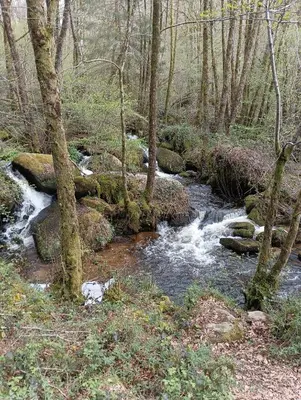 Paysage naturel près de la maison de vacances