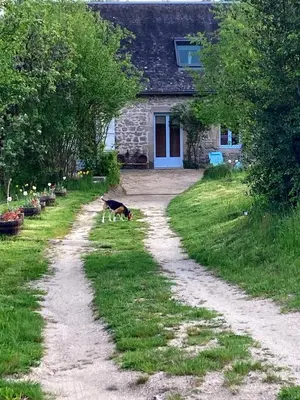 Jardin de l'établissement LES PIPISTRELLES 19 - chambre d'hotes